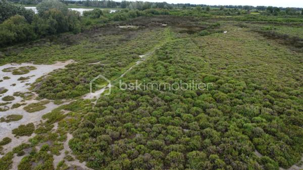 Terrain agricole de 299 008 m²