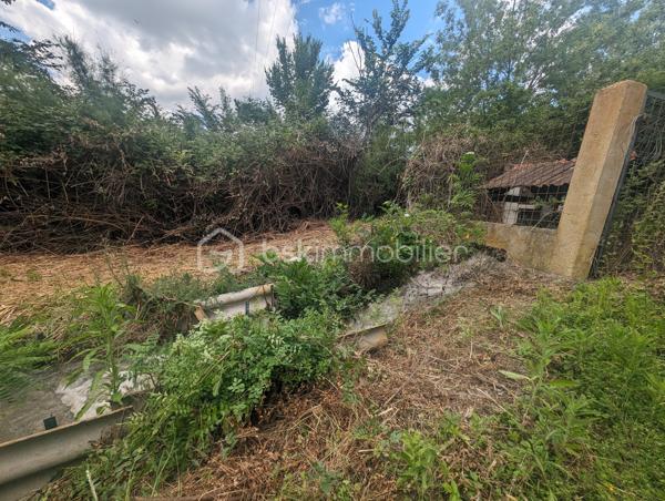 Terrain agricole de 299 008 m²