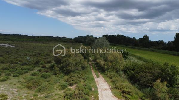 Terrain agricole de 299 008 m²