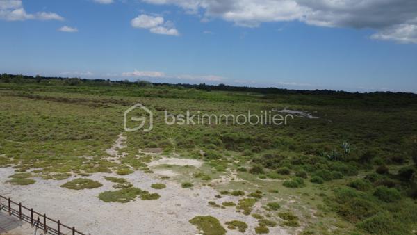 Terrain agricole de 299 008 m²