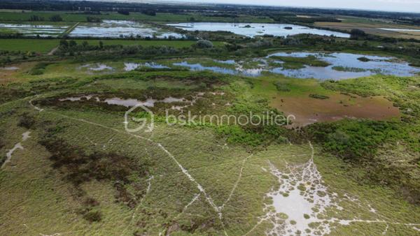 Terrain agricole de 299 008 m²