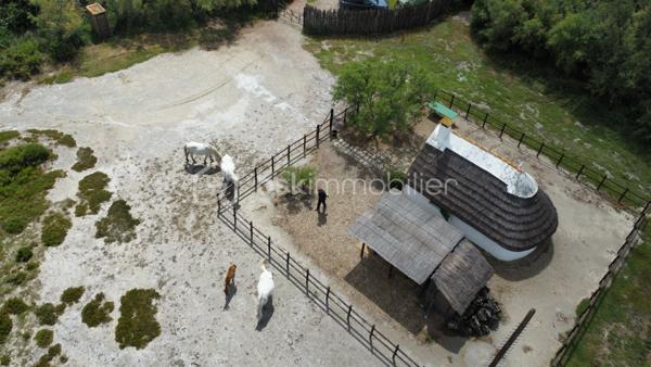 Terrain agricole de 299 008 m²