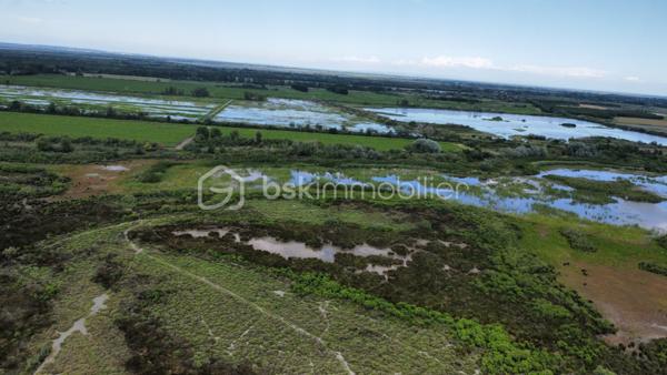 Terrain agricole de 299 008 m²