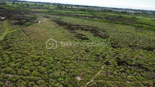 Terrain agricole de 299 008 m²