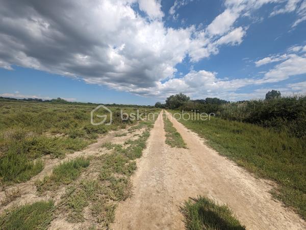 Terrain agricole de 299 008 m²
