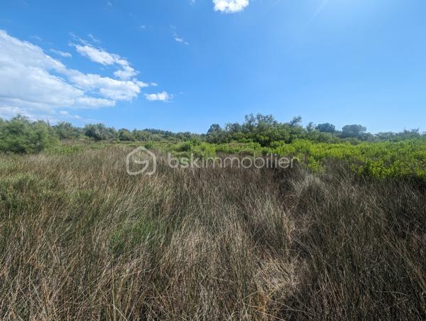 Terrain agricole de 299 008 m²