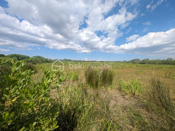 Terrain agricole de 299 008 m²