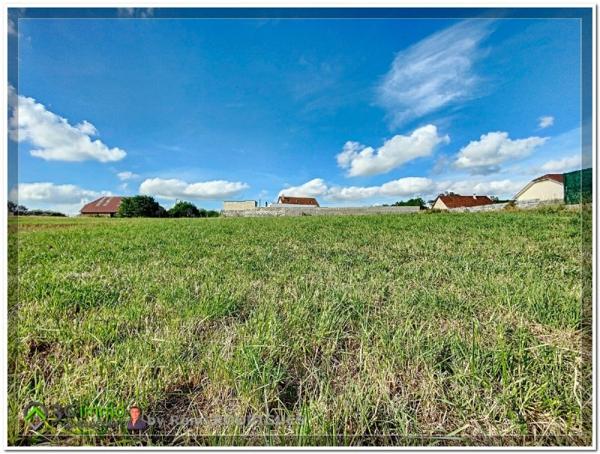 Vente / Terrain constructible