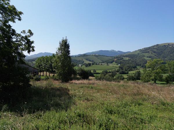 Musculdy - Ancien pigeonnier rénové avec charme sur plus de 2200 m² de terrain arboré