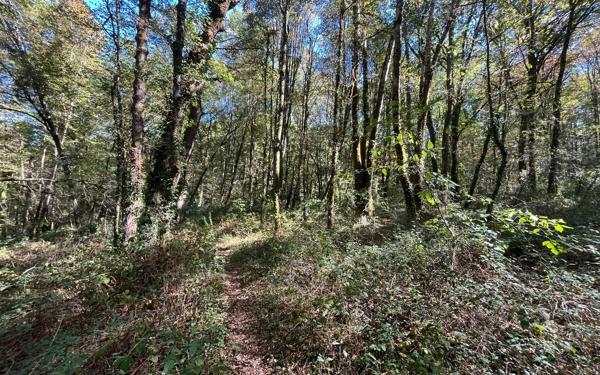 Terrain à vendre