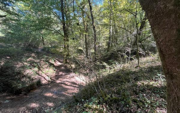 Terrain à vendre