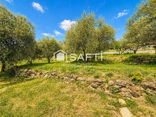 Montauroux - Terrain à bâtir - 1861 m2 - Vue dégagée