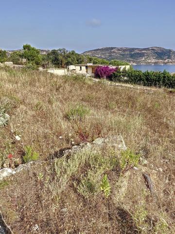 Vente Terrain 1103 m2 à Calvi