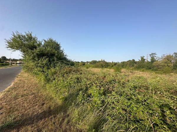 Terrain agricole de plus de 9 200 m² avec forage – Pézenas