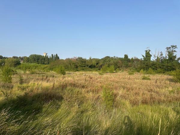 Terrain agricole de plus de 9 200 m² avec forage – Pézenas