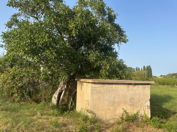 Terrain agricole de plus de 9 200 m² avec forage – Pézenas