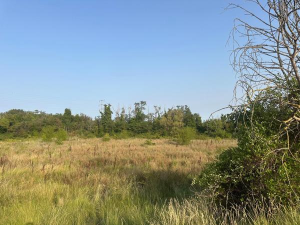 Terrain agricole de plus de 9 200 m² avec forage – Pézenas