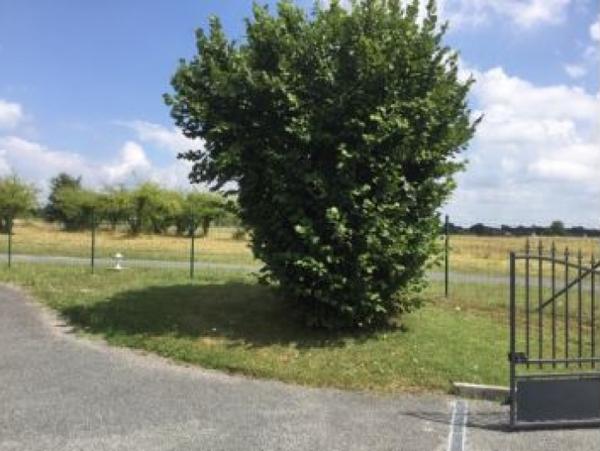 Location Maison avec jardin 4 pièces Mont-près-Chambord (41250)