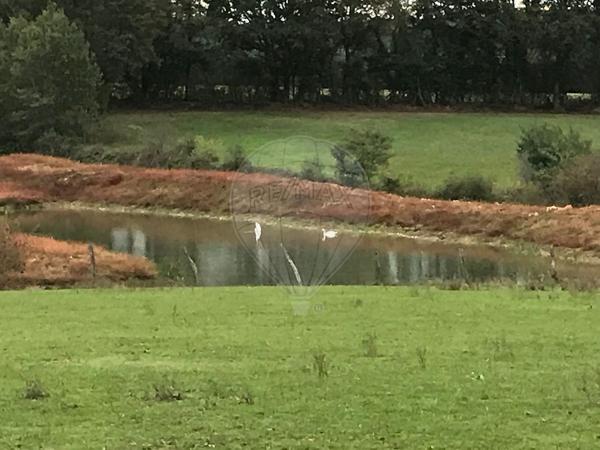Maison  en vente - Saône-et-Loire - 71