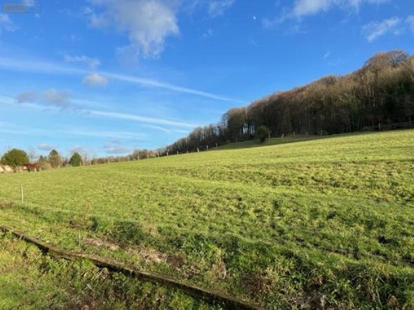 Maison à vendre à Montreuil-sur-Mer dans le Pas-de-Calais (62170), ref : 083/1811