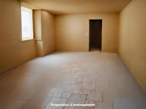 Territoire de Belfort (90) - A vendre Appartement de 78,50 m² en plateau viabilisé à aménager - Terrasse - Delle centre