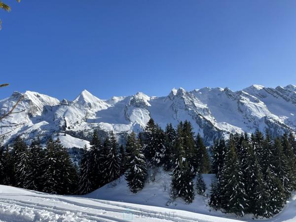 Très beau chalet d'alpage sur un emplacement rare