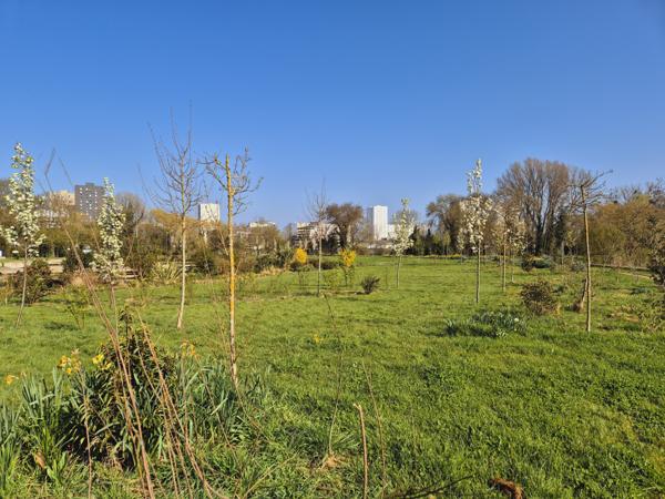 Appartement 4 pièce(s) 3 chambre(s) 105 m²