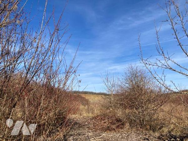 Terrain à vendre à Saint-Mards-en-Othe (10160) en Aube (10)

Ce terrain à bâtir présente une ...