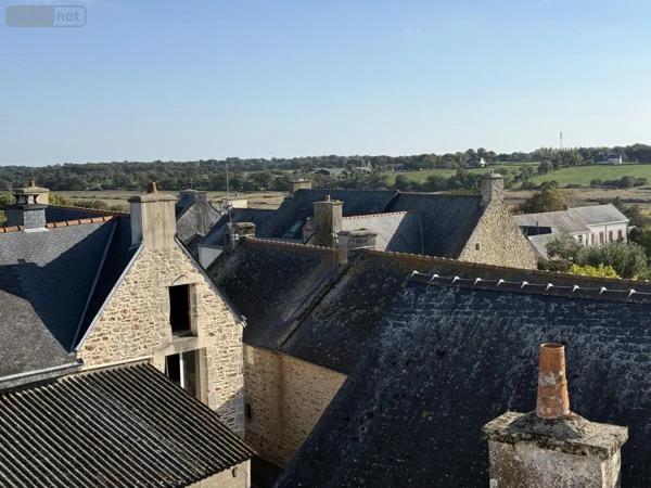 Achat - Maison Ambon 56190 7 pièces 290 m 2 233 m 2