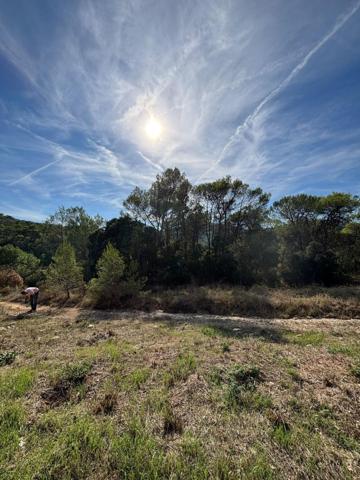 terrain agricole au calme absolu