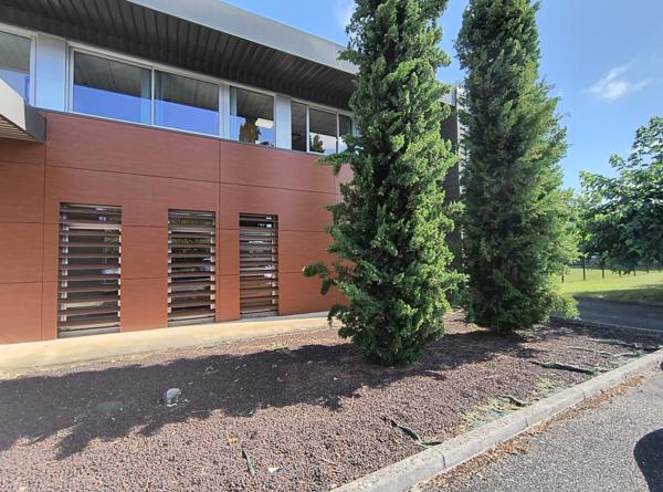 BUREAUX PROFESIONNELS OU COMMERCIAUX - Montauban (82000)