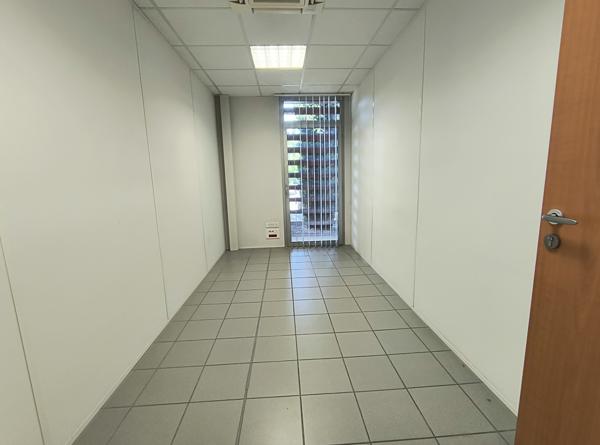 BUREAUX PROFESIONNELS OU COMMERCIAUX - Montauban (82000)