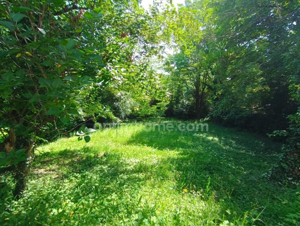 Maison à vendre à Collonges-au-Mont-d’Or (69660) – 170 m² sur terrain de 1 700 m² à bâtir