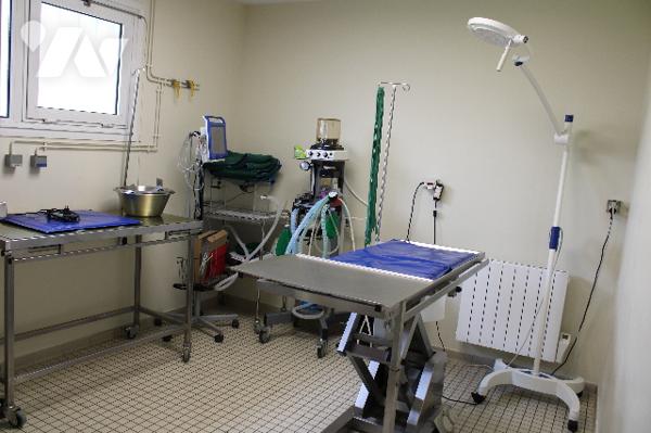 Bâtiment pro pouvant être affecté à activités médicales ou bureaux :
RDC : hall, 7 salles
Parkings