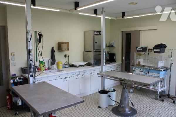 Bâtiment pro pouvant être affecté à activités médicales ou bureaux :
RDC : hall, 7 salles
Parkings