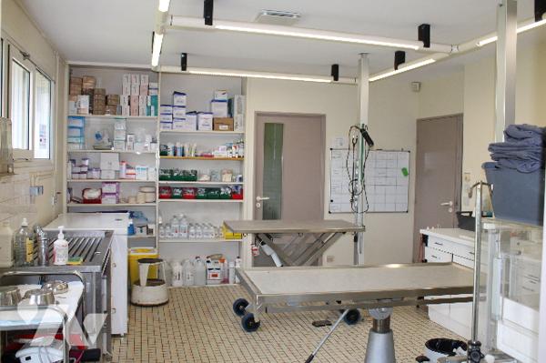 Bâtiment pro pouvant être affecté à activités médicales ou bureaux :
RDC : hall, 7 salles
Parkings