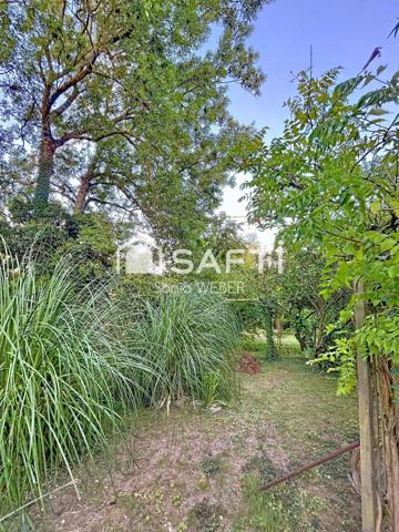 Maison champenoise type corps de ferme avec dépendances et jardin