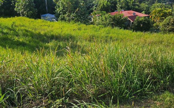 Terrain à vendre    Petit-Bourg