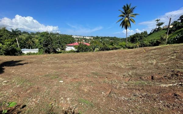 Terrain à vendre    Petit-Bourg