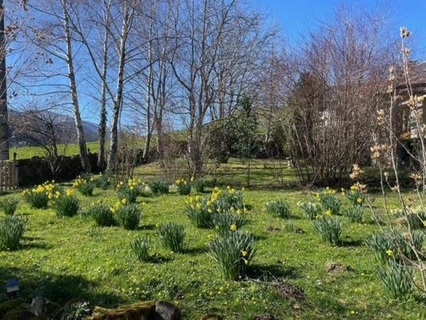 Demeures de prestige - Vallee d'ossau - Réf.:205343 AU COEUR DE LA VALLEE D'OSSAU - A VENDRE ( BAISSE DE PRIX) ENSEMBLE IMMOBILIER RENOVE SUR TERRES LIBRES DE 20 HECTARES AVEC VUE MAGNIFIQUE SUR LES PYRENEES - SITE UNIQUE DANS LE BEARN -