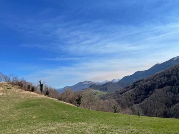 Demeures de prestige - Vallee d'ossau - Réf.:205343 AU COEUR DE LA VALLEE D'OSSAU - A VENDRE ( BAISSE DE PRIX) ENSEMBLE IMMOBILIER RENOVE SUR TERRES LIBRES DE 20 HECTARES AVEC VUE MAGNIFIQUE SUR LES PYRENEES - SITE UNIQUE DANS LE BEARN -