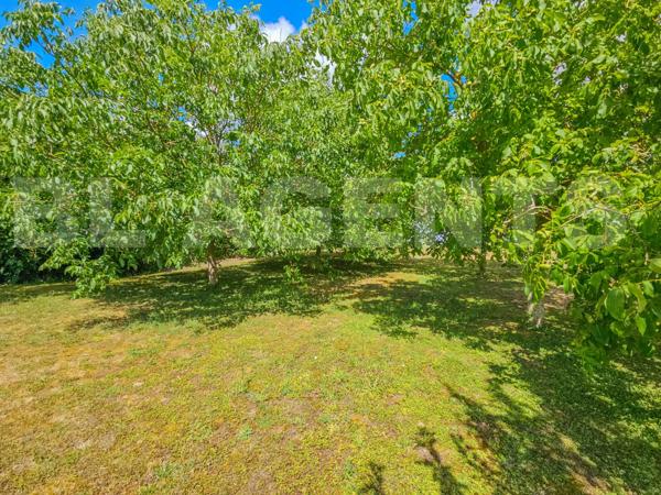 Propriété à fort potentiel – 15 minutes de Châtellerault