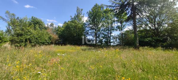 Terrain à bâtir de 1 315 m² - Rare sur le secteur !