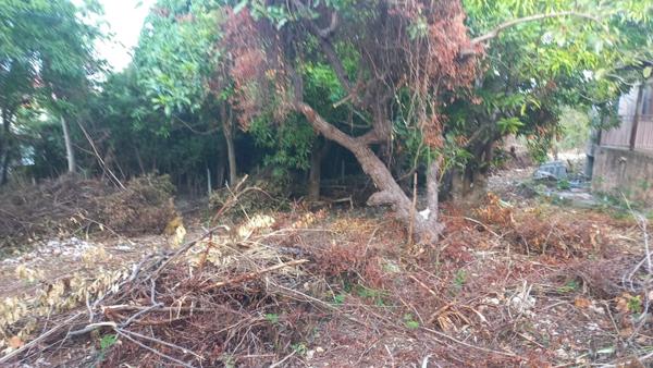 Maison à vendre 7 pièces, 1615M2 terrain à SAINTE ANNE (971)