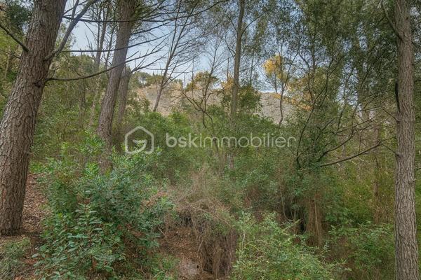 Terrain de loisirs de 5 600 m²