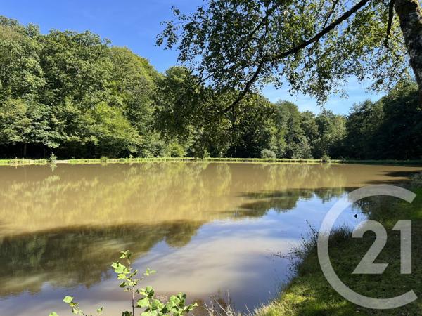 Terrain à vendre  21513 m2 FRAHIER ET CHATEBIER - 70