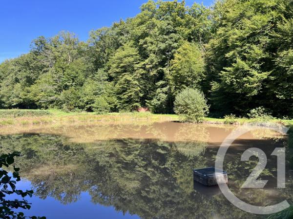 Terrain à vendre  21513 m2 FRAHIER ET CHATEBIER - 70