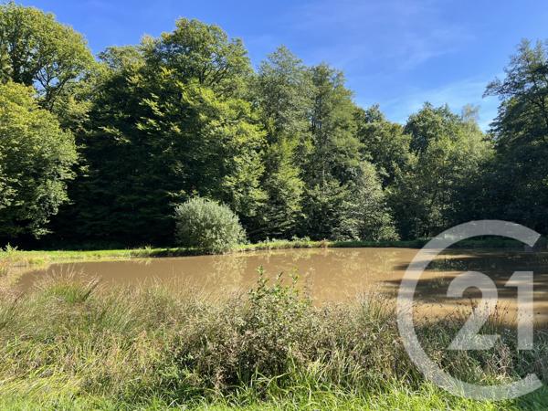 Terrain à vendre  21513 m2 FRAHIER ET CHATEBIER - 70