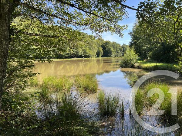 Terrain à vendre  21513 m2 FRAHIER ET CHATEBIER - 70