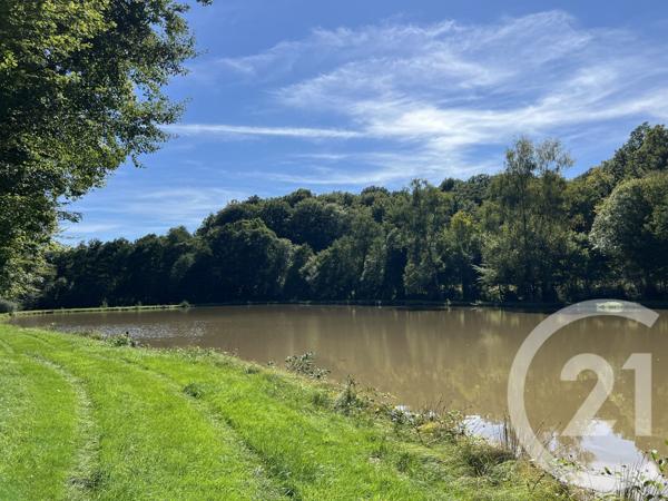 Terrain à vendre  21513 m2 FRAHIER ET CHATEBIER - 70